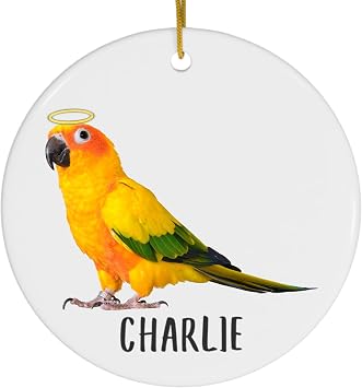 Sun Conure Parrot Angel Wings Memorial Personalized Christmas Ornaments 2026 Circle White Ceramic Pet Owner Gifts