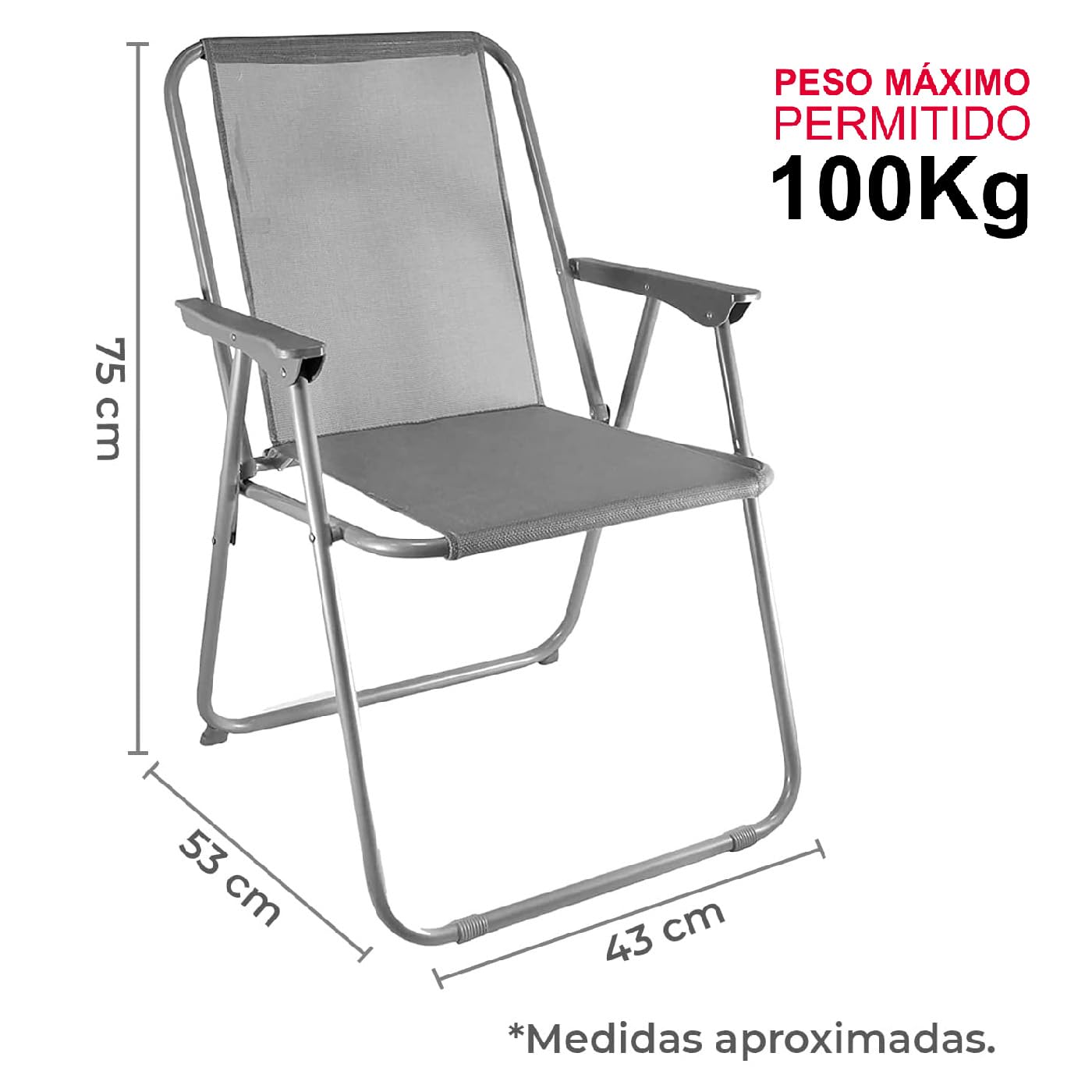 TIENDA EURASIA® Silla de Playa Plegable con Reposabrazos - Estructura de Acero Resistente - Asiento de Lona Impermeable - Estampado a Rayas - 75 x 53 x 43 cm - Ideal para Playa o Camping (Grey)