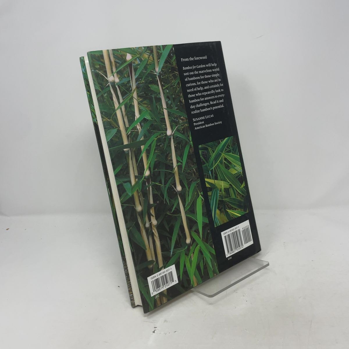 Bamboo Gardening Guide - Grow Stunning Plants -6 Bamboo Gardening Guide - Grow Stunning Plants -6