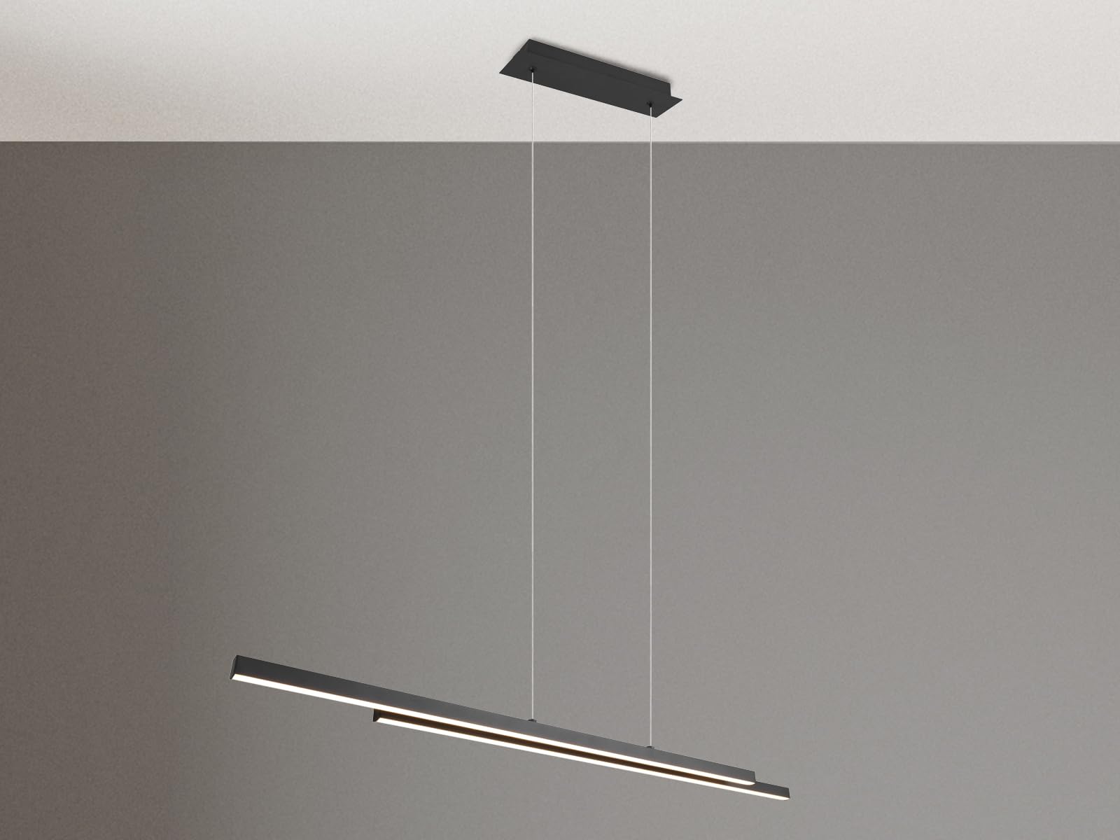 RL LIVE YOUR LIGHT Lampa wisząca LED – 110 x 150 cm – 2-punktowa – czarna – metal – regulacja wysokości