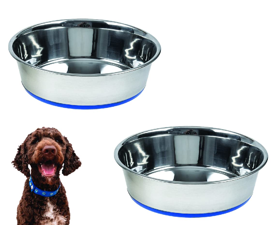 Pets Empire Heavy Dog Bowl | Dog Bowl Big, Dog Bowl Large Size | Rubber Base Stainless Steel | Dog Food Bowl | Feeding Bowls for Dog, Cats and Pet (Pack of 2 x 900 ml) (B09NNHVDXC) Amazon Price History, Amazon Price Tracker