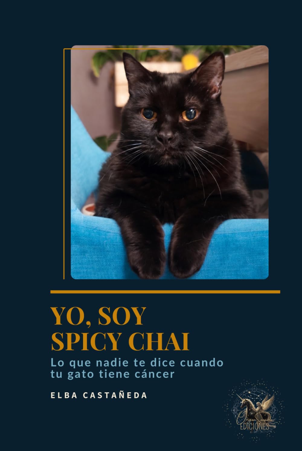 Yo, soy Spicy Chai. Lo que nadie te dice cuando tu gato tiene cáncer