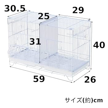 Amazon | iimono117 鳥かご バードゲージ 仕切り 付き (高さ40