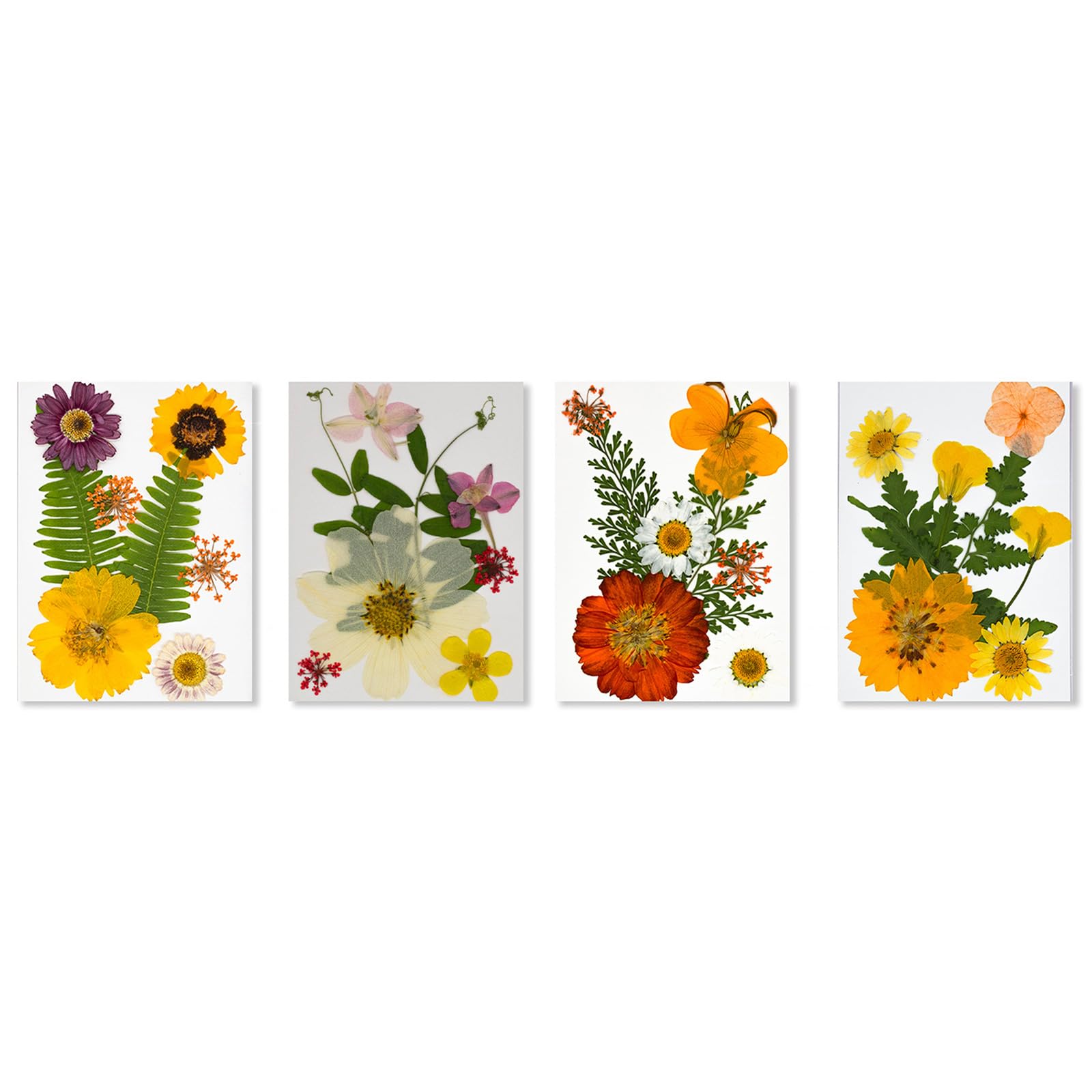 Tfaoys C 4 Pack Dried Flower Ollection 32Pcs Pressed Florals For Epoxy Raft Home Decoration And Reative Hobbies Epoxy Home Decor & Reative Gifts