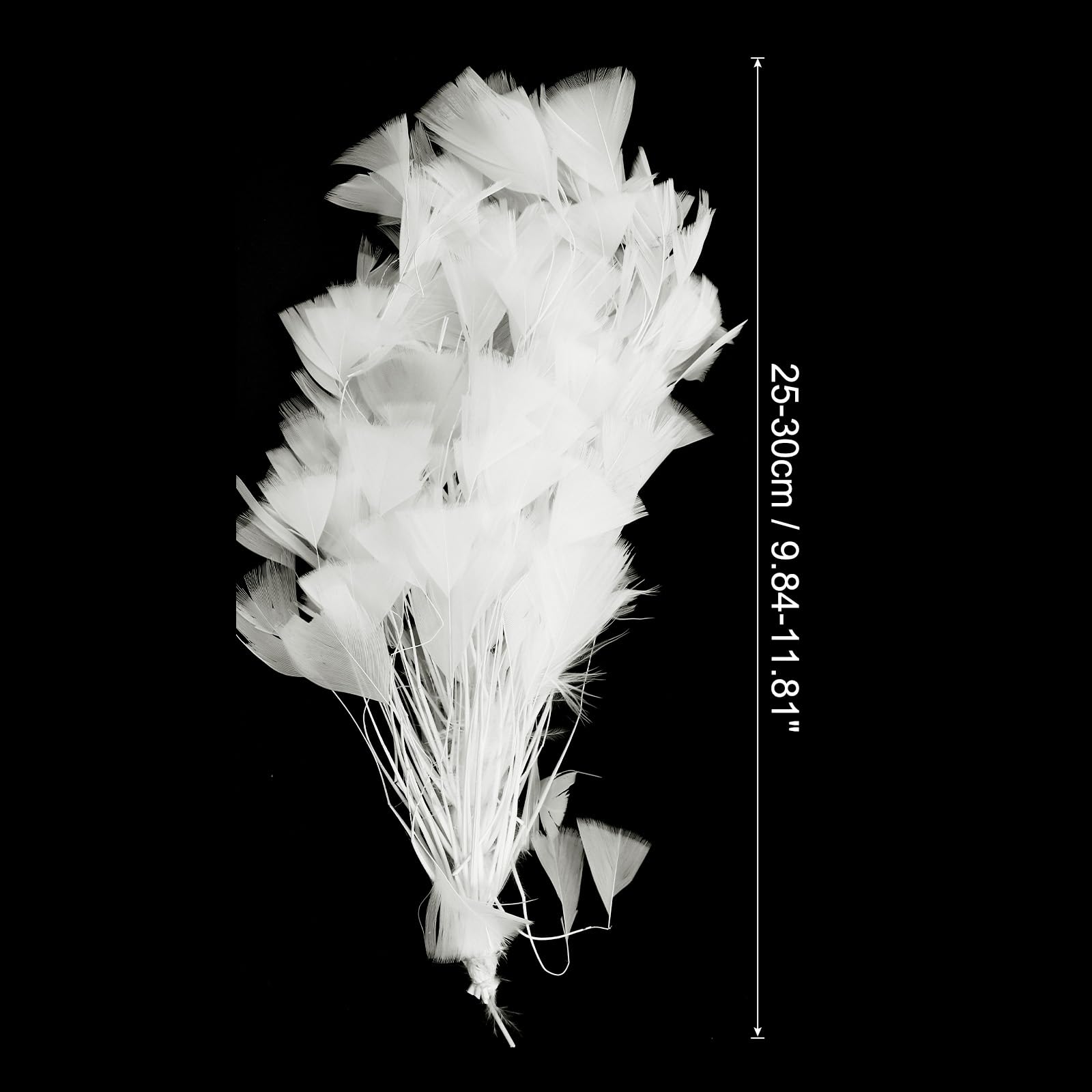 PATIKIL 10-12 Inch Turkey Feathers - Image 2