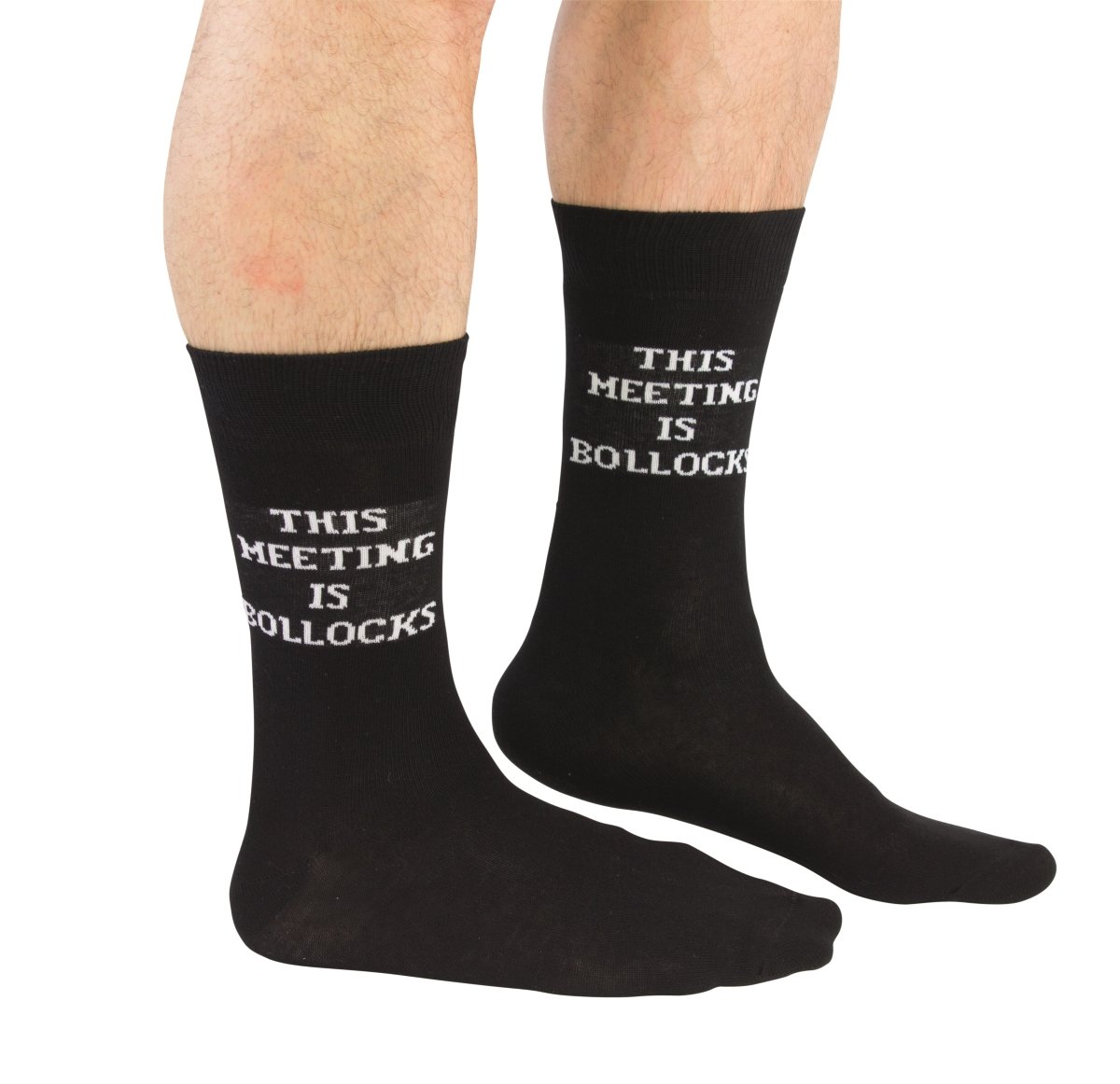 Cockney SpanielBlack This Meeting Is Bollocks Men Novelty Socks UK 6-11 EUR 39-46 US 7-12