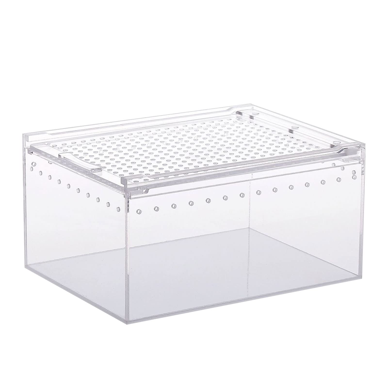 Boîte d'alimentation en acrylique transparent araignées serpents