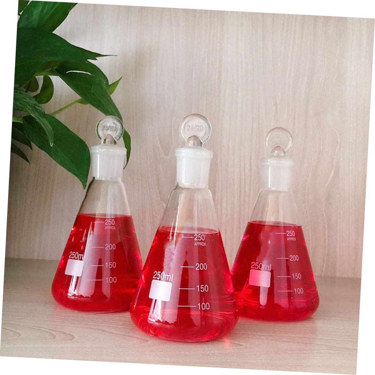 Gatuida 3piezas Matraz de Vidrio Cónico con Tapón Matraz Experimental para Laboratorio para Experimentos Estudiantiles