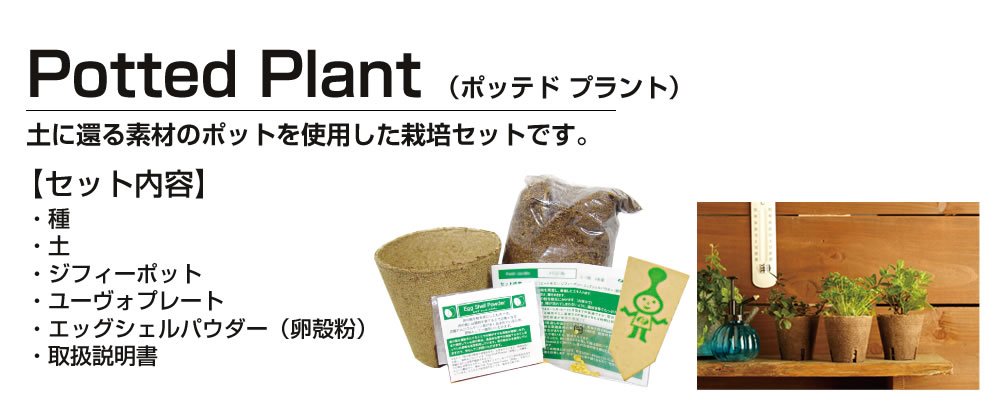  ワイルドストロベリー img59233302.jpg