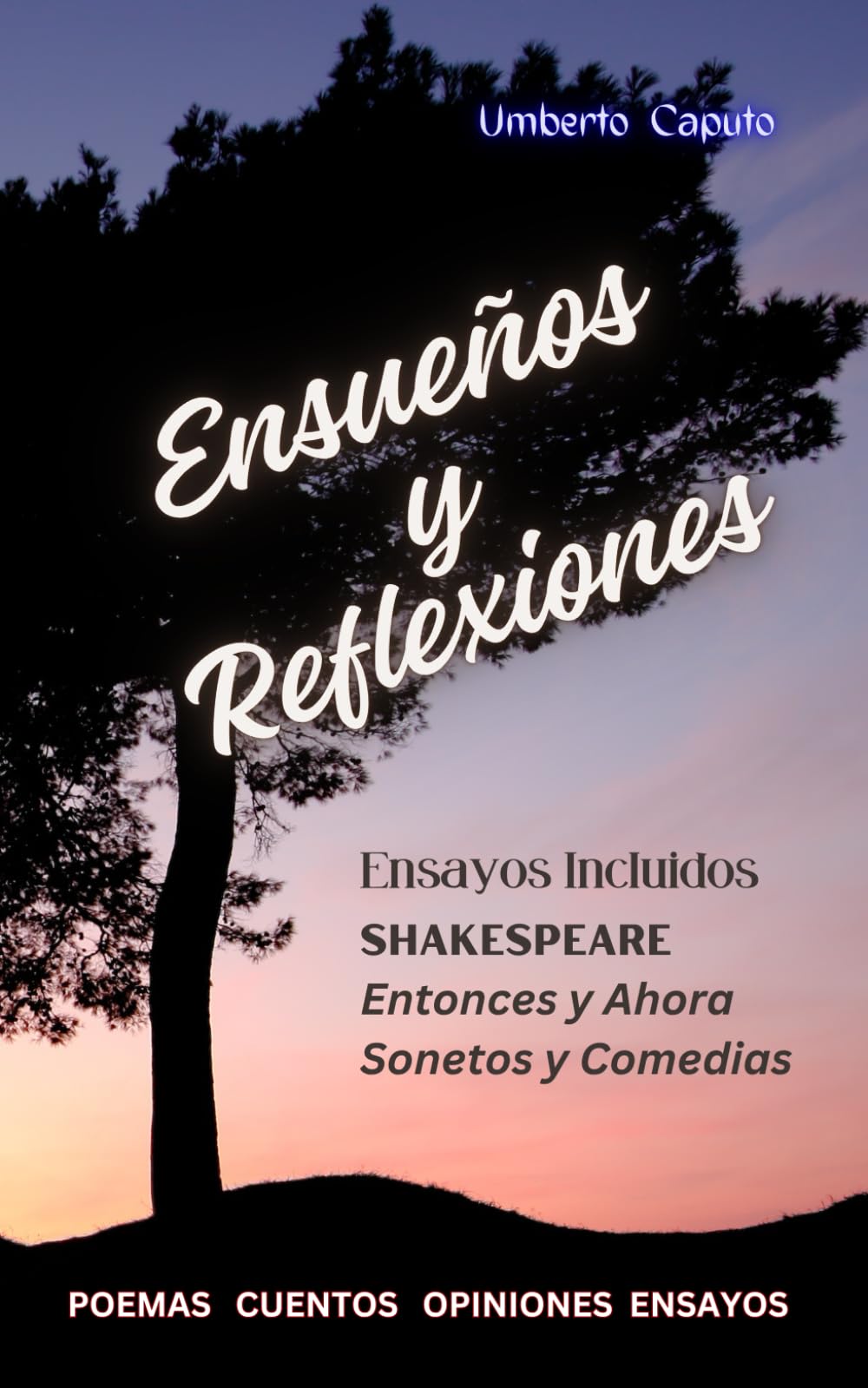 Ensueños y Reflexiones