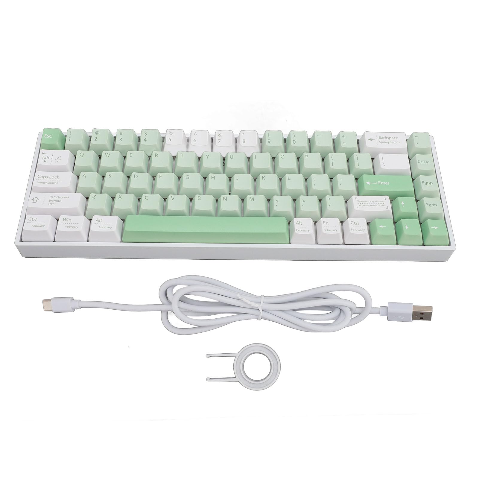AMONIDA Tastiera Meccanica Wireless Compatta a 68 Tasti con Illuminazione RGB e Bluetooth per Giocatori e Professionisti Custodia Bianca