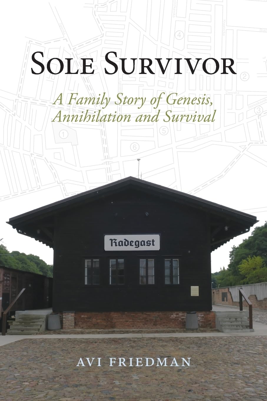 Sole Survivor: A Family Story of Genesis, Annihilation and Survival