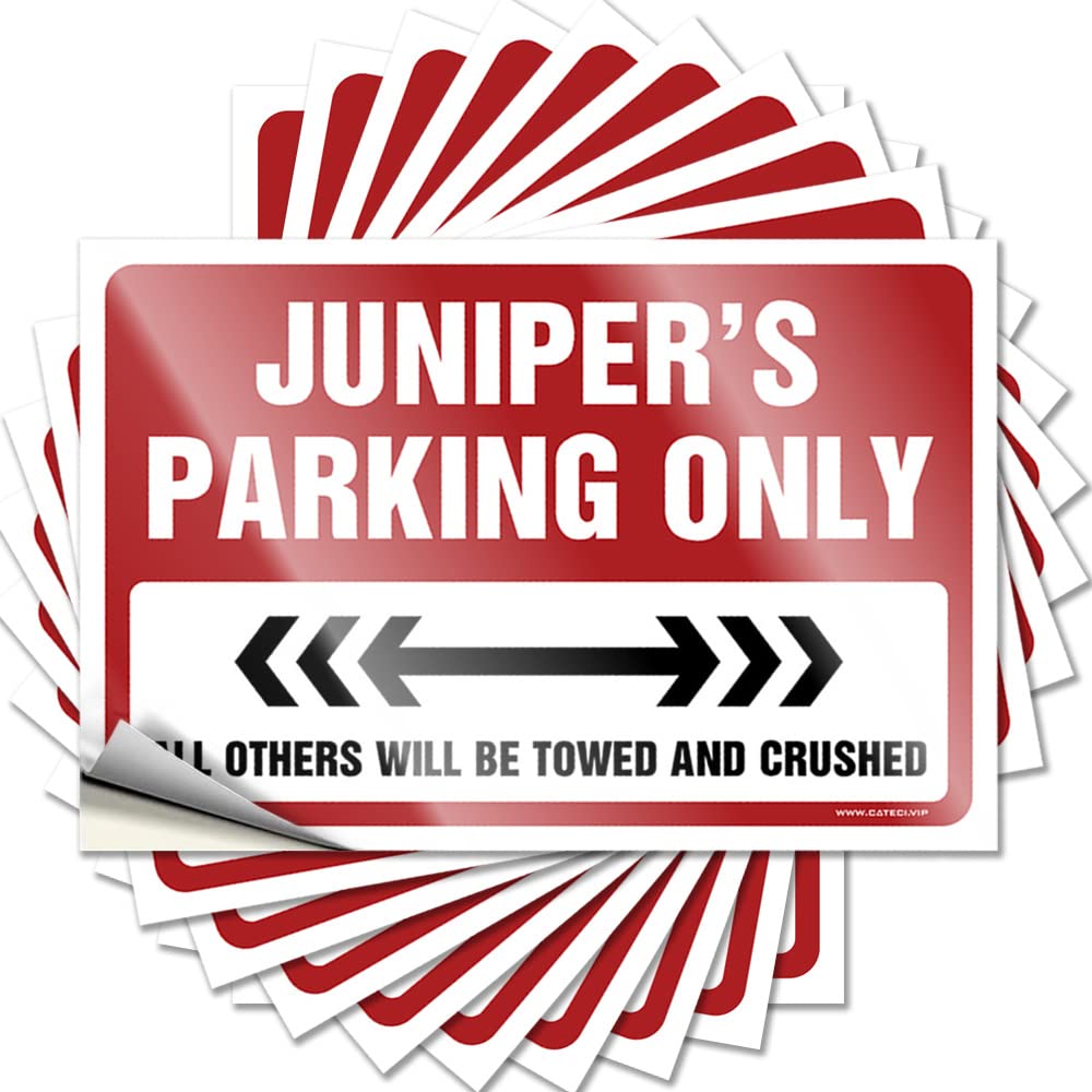 Tattoos New Easy Apply | Juniper's Parking Only Assorted Soft Area Peel and Stick(12X18CM)