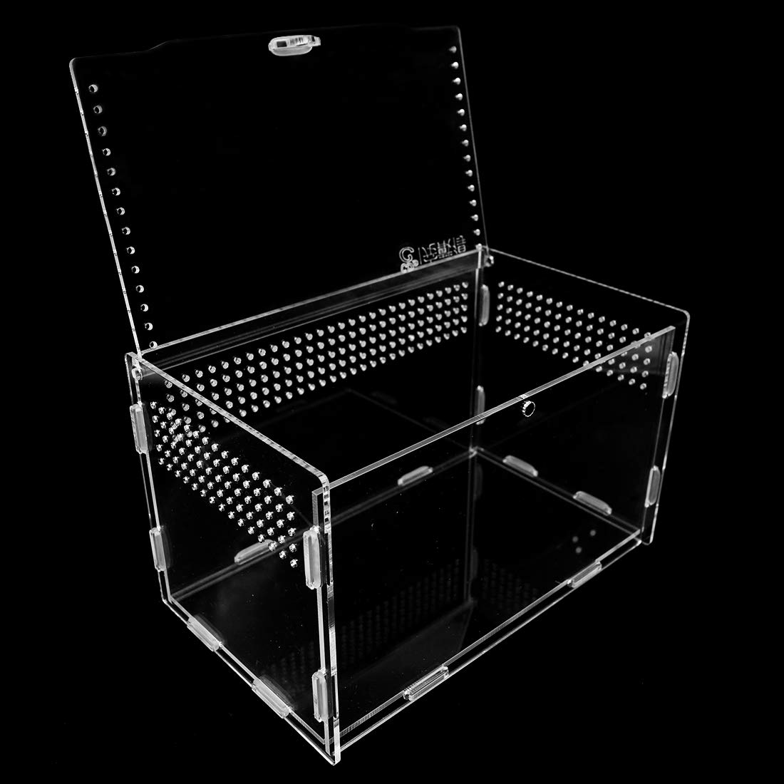 Boîte d'alimentation en Acrylique pour Reptiles 20 x 12 x 12 cm Terrarium en Verre Transparent - 2 Pinces Droites et incurvées pour Animaux domestiques - pour Insectes, araignées,crabes, lézard