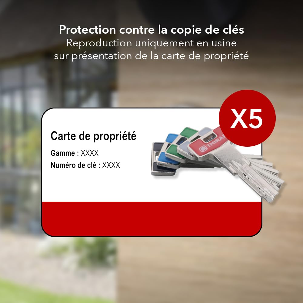 THIRARD Cylindre de serrure à bouton T2, anti-effraction, 40B x 30 mm | Finition nickel, 5 clés fournies, bouton intérieur, usage résidentiel, haute sécurité, installation facile, standard européen