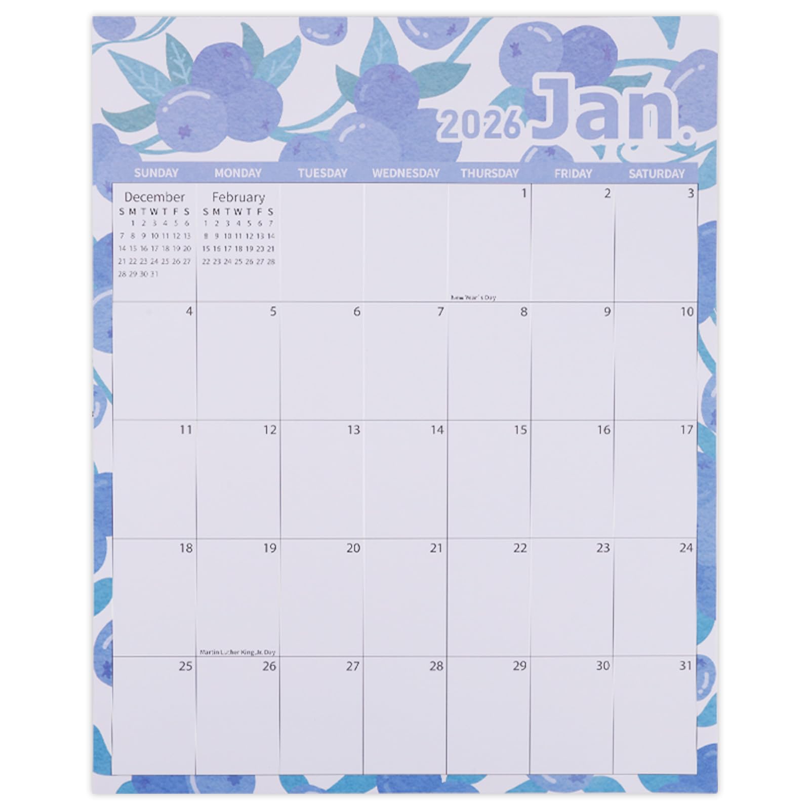 Magnetic Calendar, 36.6x29cm/14.41x11.42in Large Tear-Off Monthly Magnet Refrigerator Calendar with Strong Magnetic Backing Jan 2026 to Dec 2026 Perfect Fridge Organizer Planner (Fruit Theme)