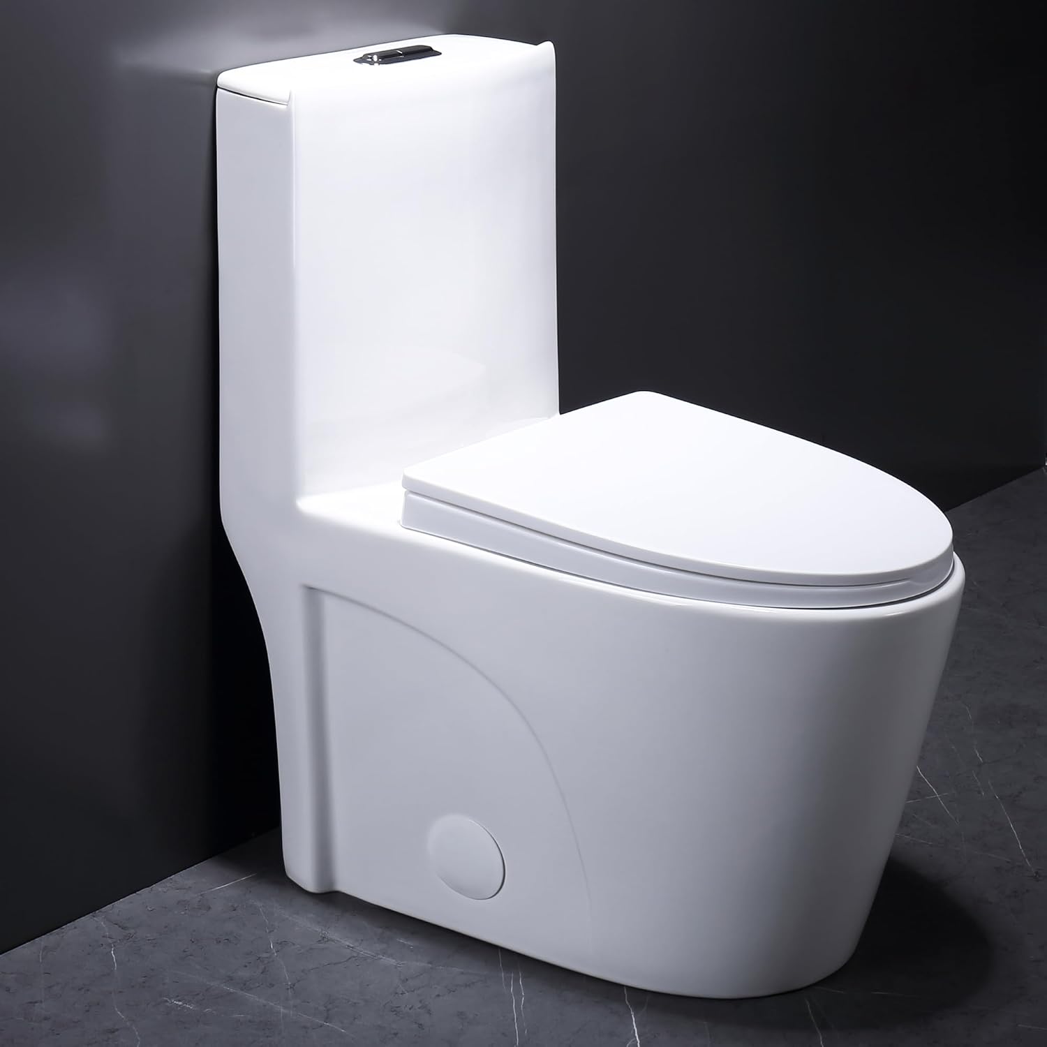 One Piece Toilet