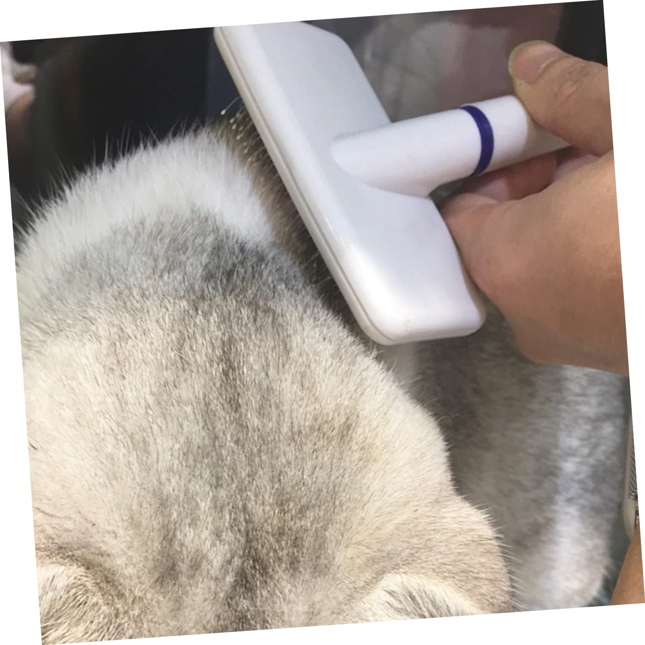ibasenice Brosse pour Chiens et Chats Toilettage Animaux Peigne pour Poils Courts Manche Ergonomique Outil de Brossage pour Chiots et Chatons