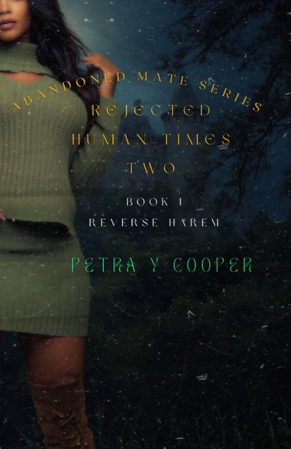 Abandoned Mate Series: Rejected Human Times Two: Book 1: Reverse Harem