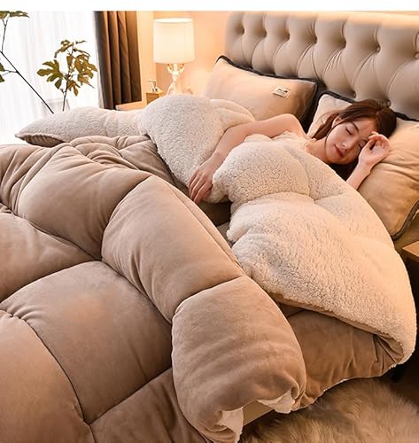 TUCVZVO Couette Polaire 220X240, Edredon Épais Hiver, Couverture Très Chaude et Super Douce pour 2 Personnes, B, 220x240 5kg