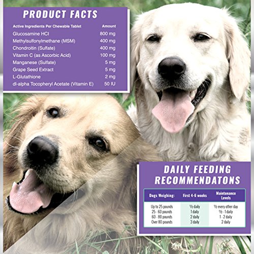 Peppy-Paws Glucosamine Chondroitin For Dogs With Msm - All Natural Joint Supplement For Dogs - Improves Mobility - Hip Dysplasia - Dog Joint Pain - Reduces Inflammation-120 Beef Flavored Tablets #TOP5