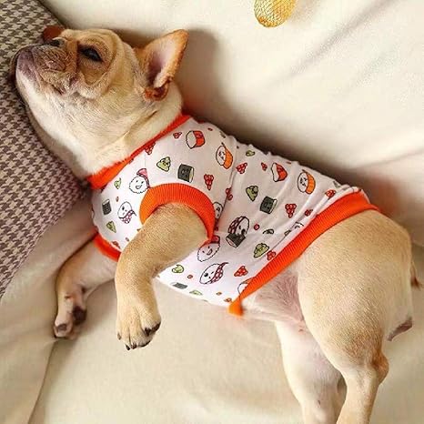 Amazon Com Khkh 9 Color Frances Bulldog Pug Sudadera Con Capucha Invierno Algodon Pet Dog Ropa Para Perros Cachorro Ropa Pullover Roupa De Cachorro Productos Para Animales