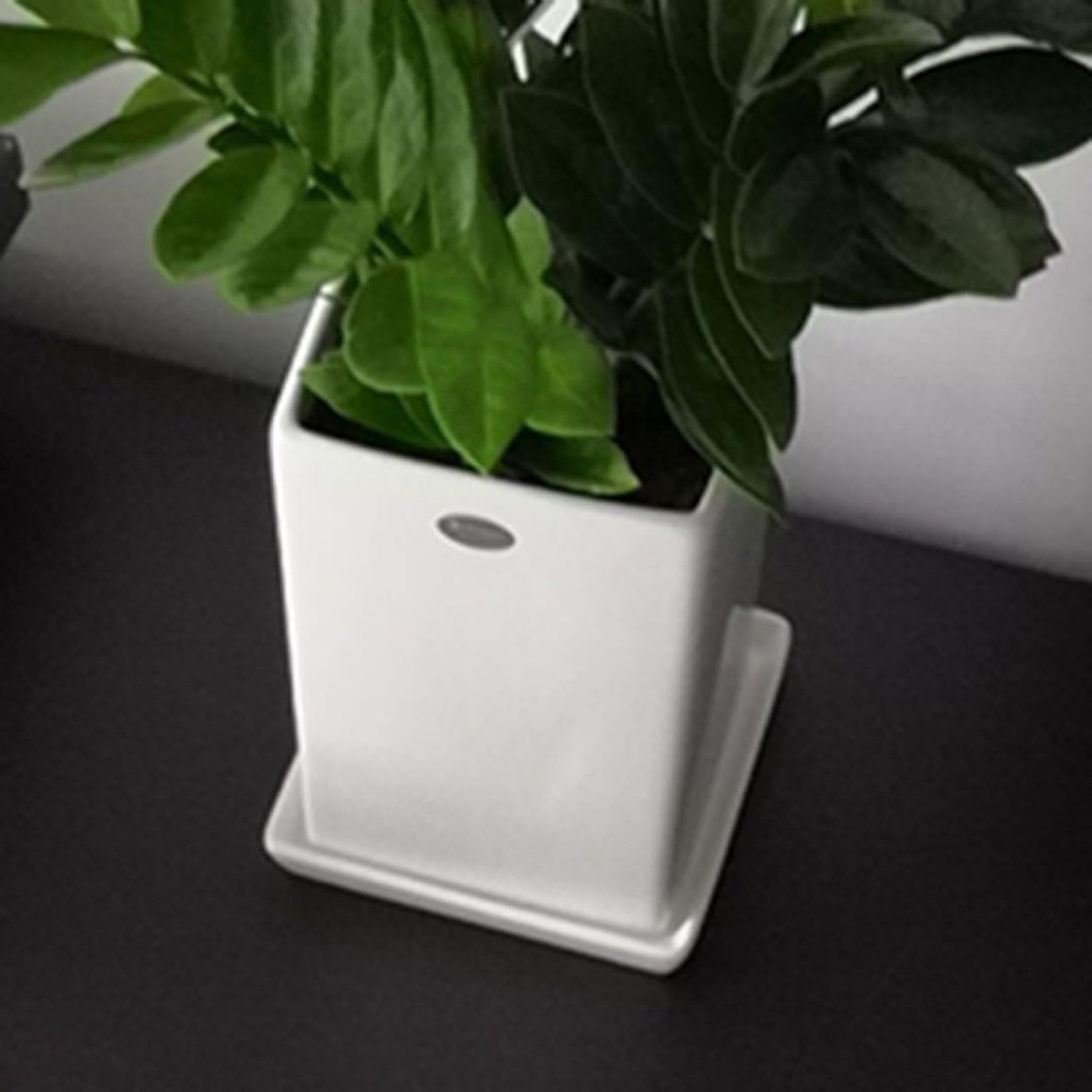 Amazon.co.jp: 陶器鉢 安定感のあるスクエア鉢で、どの植物を植えても