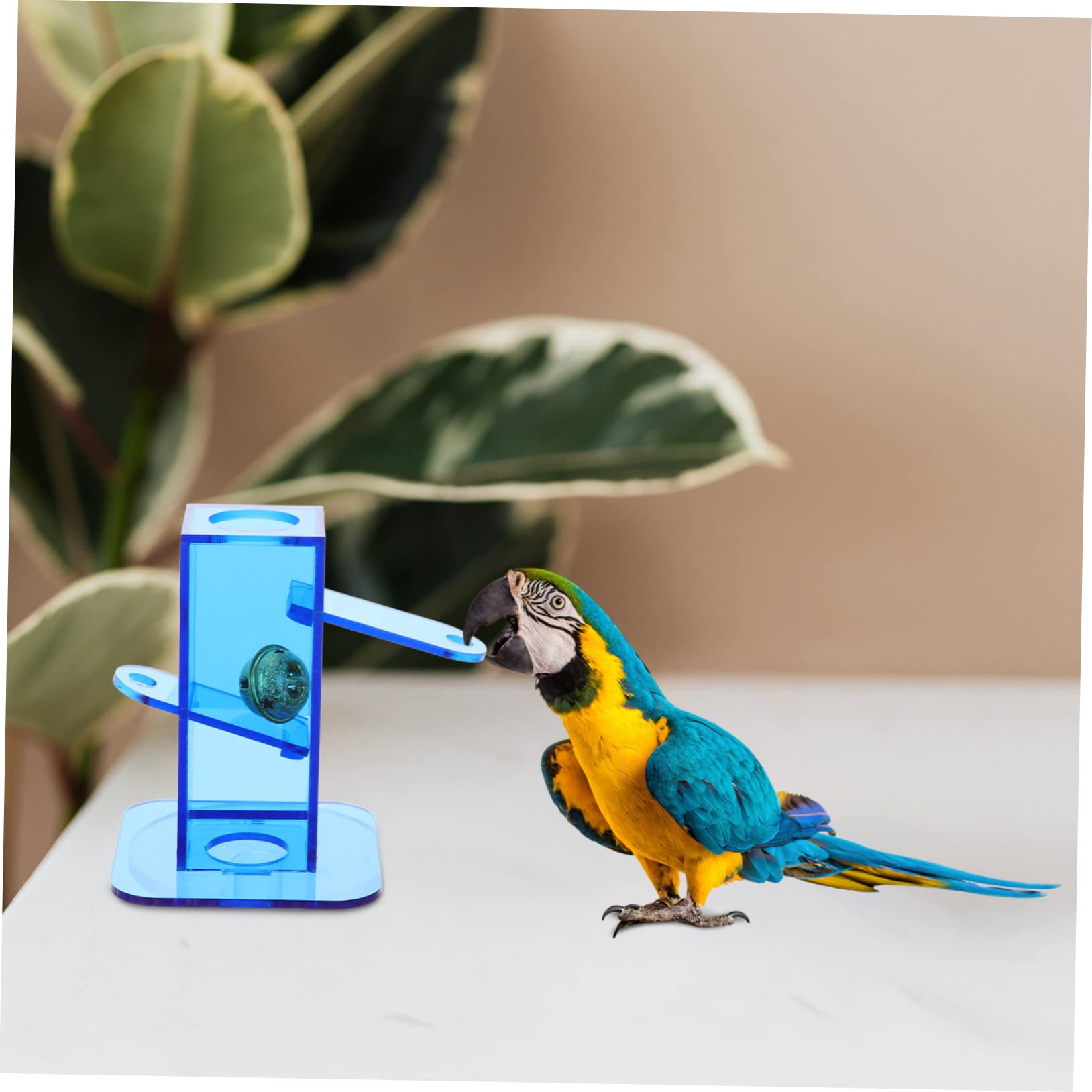 VANZACK 3stücke Indoor Vogel Intelligenz Trainer Interaktives Spielzeug Förderspielzeug Für Nymphensittiche Push-Pull Spielzeug Für Haustiere