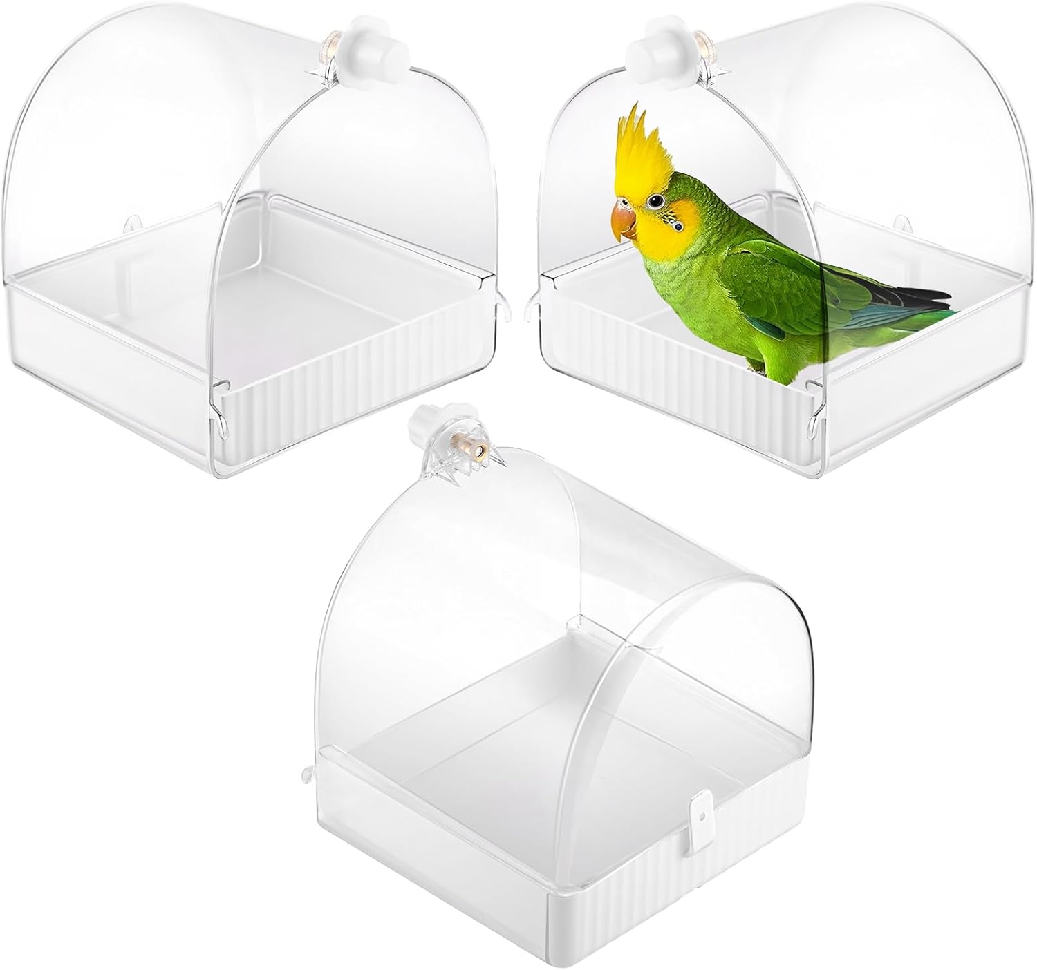 Clear Bird Bath Box