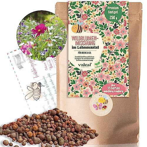 Wildblumensamen im Lehmmantel 250 g - Blumenwiese Samen mit Vogelschutz - Bienenfreundliche Wildblumenmischung für bunte Blütenpracht