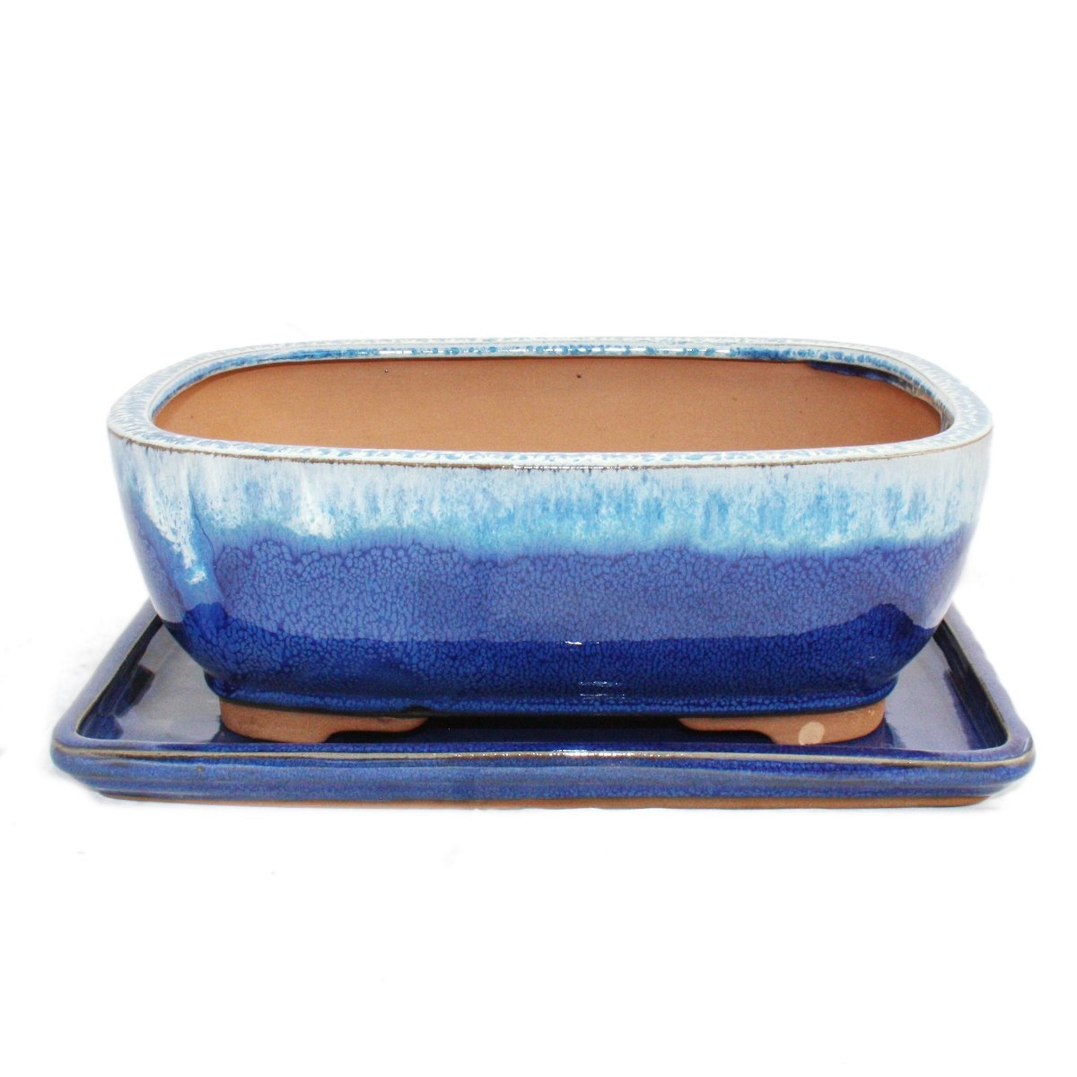 Coupe à bonsaï bleu et beige pour décorer un salon zen avec soucoupe
