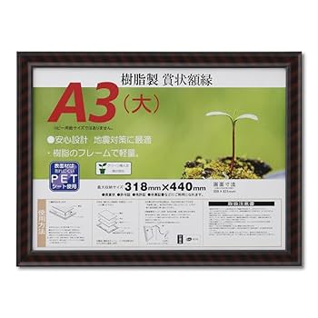 Amazon | 大仙 額縁 賞状額 金ラック R A3大 樹脂製 シュリンク