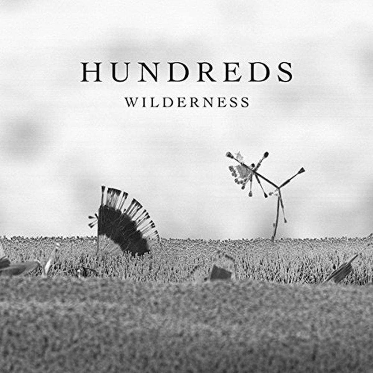 Wilderness