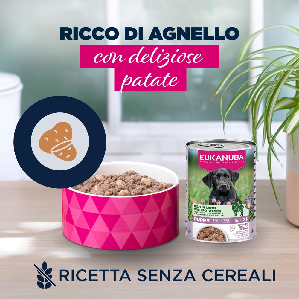 EUKANUBA Cibo umido per cuccioli con agnello e patate, alimento umido premium senza cereali per cani junior, 6 x 400 g lattine