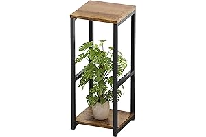 2-Tier Plant Stand for Indoor Plants: Elevate Your Living Space with Modern Style