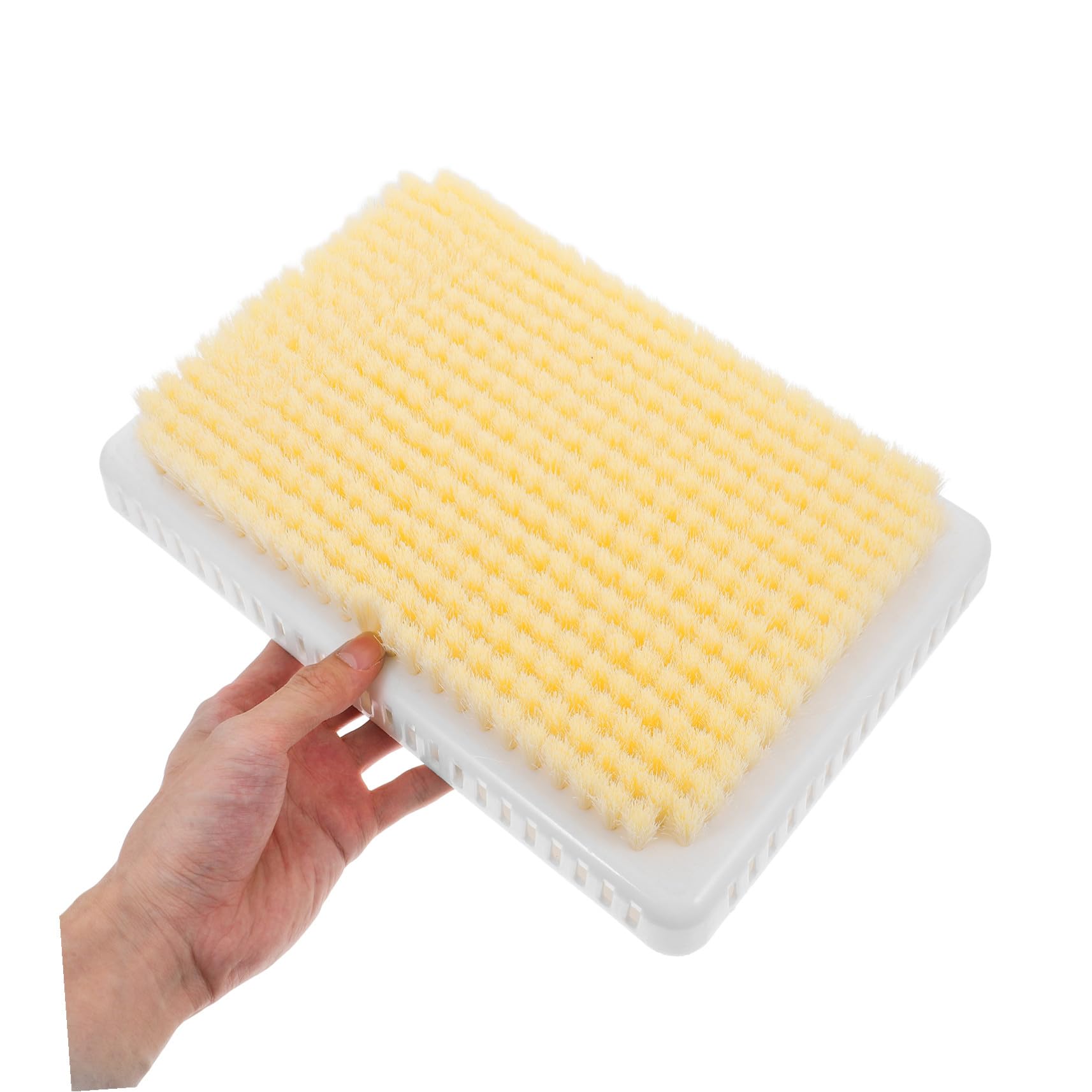Brosse Dorsale Murale de Bain Exfoliante pour Peau et Pieds, 2 Pièces