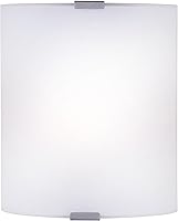 Canarm 1-Light Wall Sconce Frosted Opal Glass Gray Accents Modern Bathroom Bedroom Hallway Light Fixture