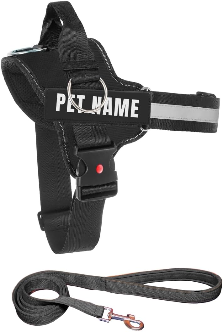 KIKA Pets No Pull Dog Harness with Name | Custom Dog Harness for Large Dogs Labrador Golden Retriever, Large Size (for 21-35 kgs) Midnight Black with Leash Padded