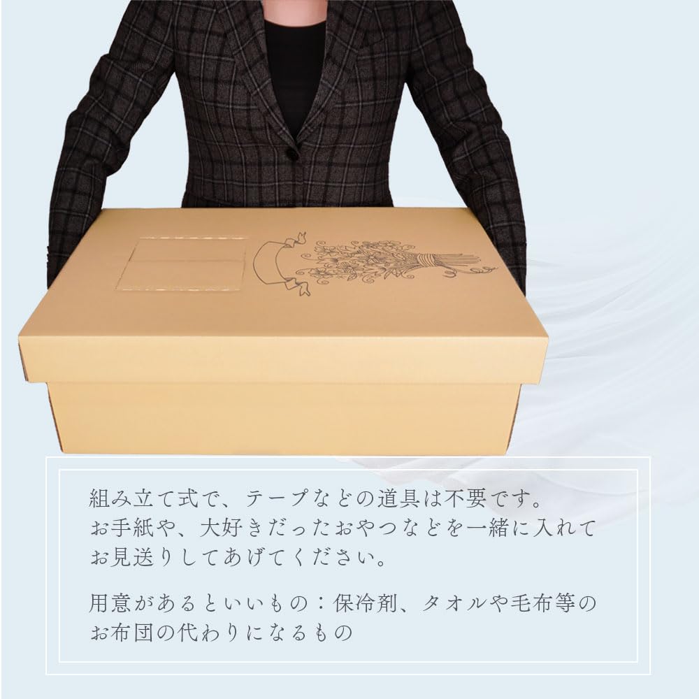 Amazon.co.jp: ペット 棺桶 イエロー系【 ペットシート 線香 説明書 