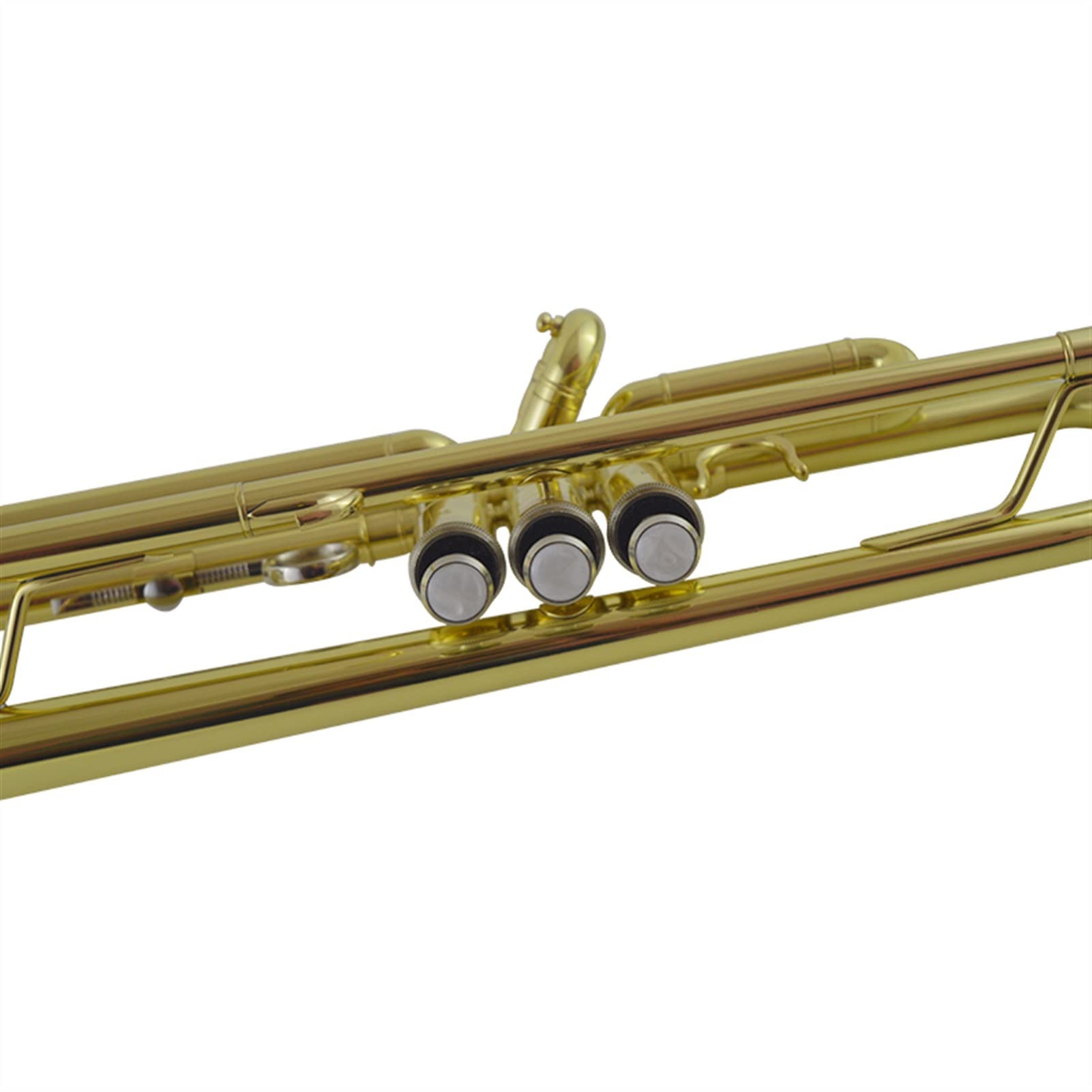 トランペット ゴールド ケース付き Amazon.co.jp: 標準トランペットセット B-Flat Trumpetの楽器