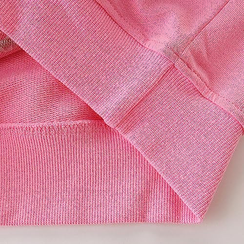 Toddler Girls Cute Koala Graphic Pullover Sweatshirt Crewneck Long Sleeve Shirt Kawaii Top Kids Fall Winter Clothes3