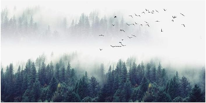Amazon キャンバス絵画霧の風景深い森空飛ぶ鳥の壁ポスターとプリント写真家のリビングルームの装飾 30x60cm フレームレス ウォールステッカー オンライン通販 Amazon キャンバス絵画霧の風景深い森空飛ぶ鳥の壁ポスターとプリント写真家のリビングルームの装飾 30x60cm フレームレス ウォールステッカー オンライン通販