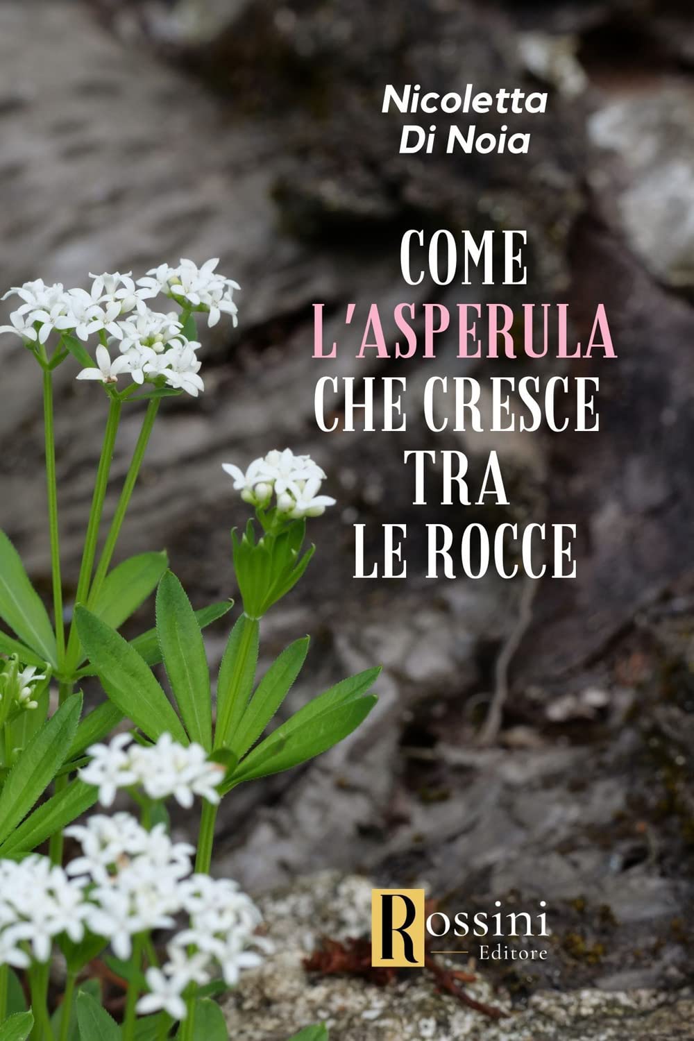 Come L'asperula Che Cresce Tra Le Rocce - 4
