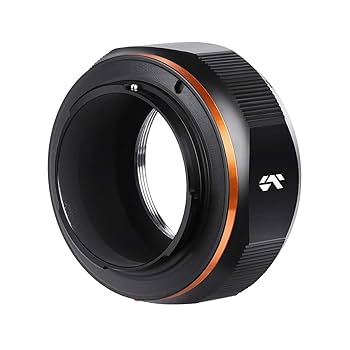 Sony 300mm F2.8 G + テレコンバーター + マウントアダプター トキナーのEFマウントレンズを、ソニーFEマウントのカメラで使用