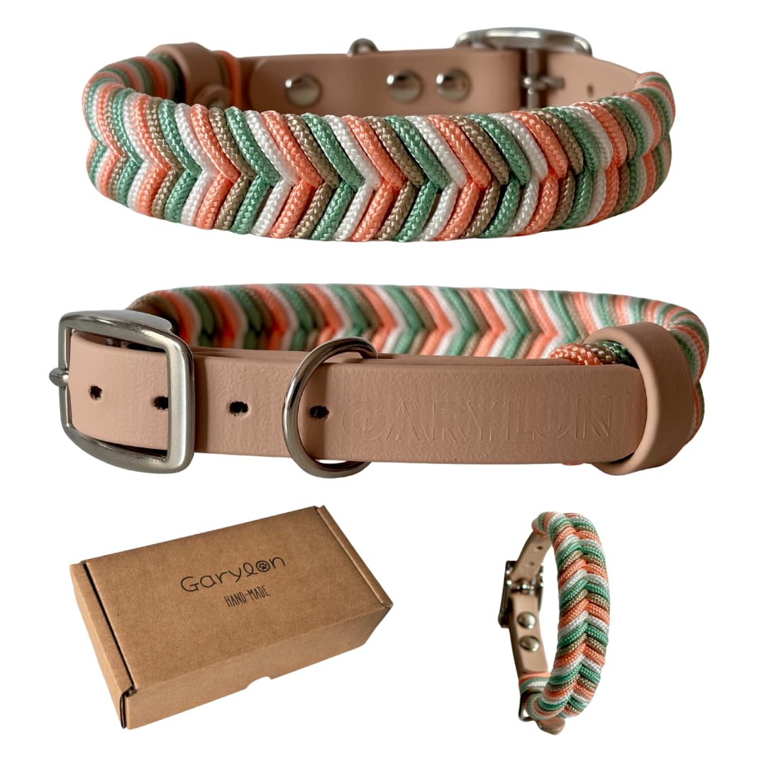 Collar Perro Pequeño, Collar para Perros de Biothane y Paracord con Acero Inoxidable, Pulsera a Juego, Hecho a Mano en España, Impermeable Ajustable y Duradero (Ama, S)