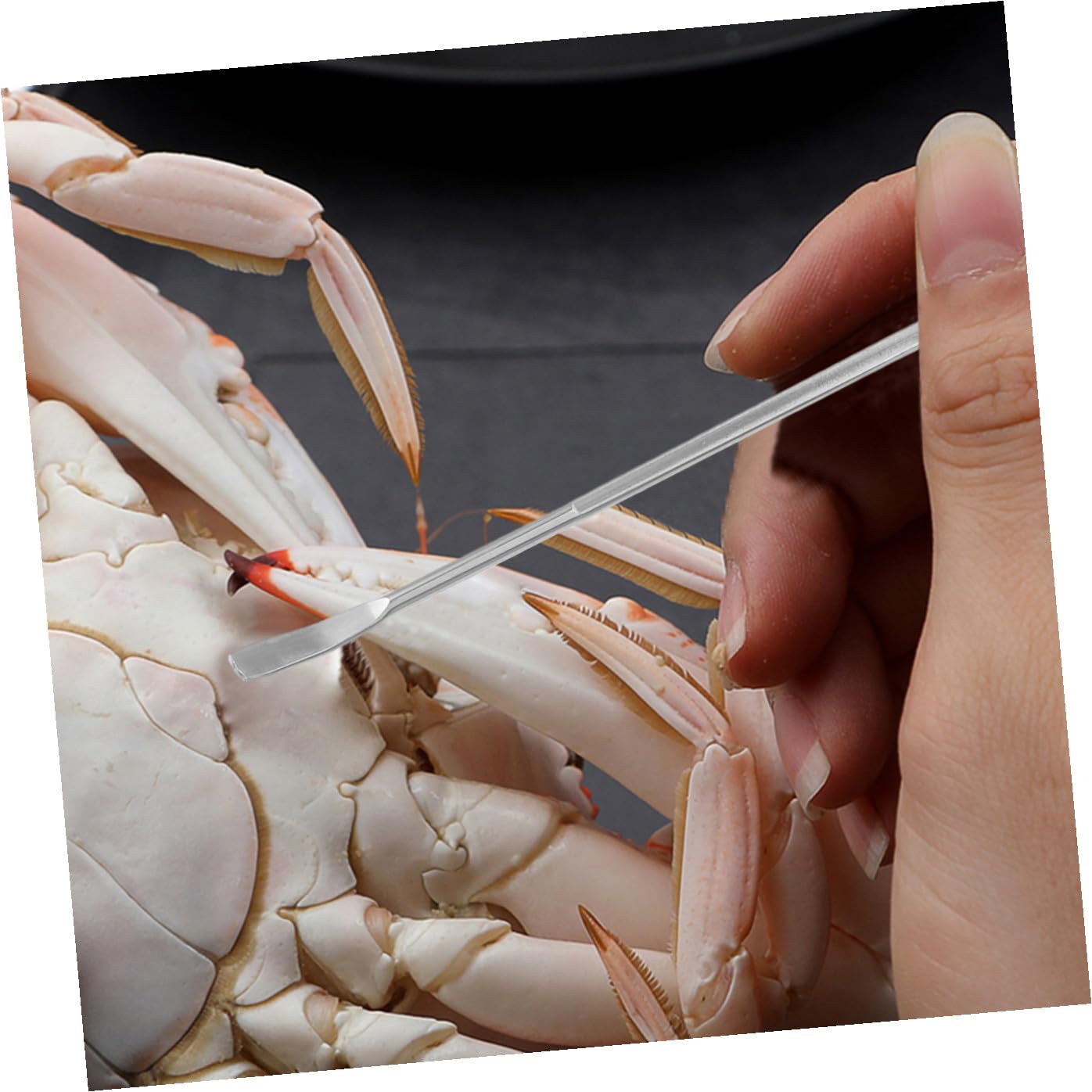 Pince de Crabe en Acier Inoxydable, Kit D'ustensiles Crustacés Ciseaux Crustacés et Pics à Crabes, pour Manger des Fruits de Mer en Toute Sécurité
