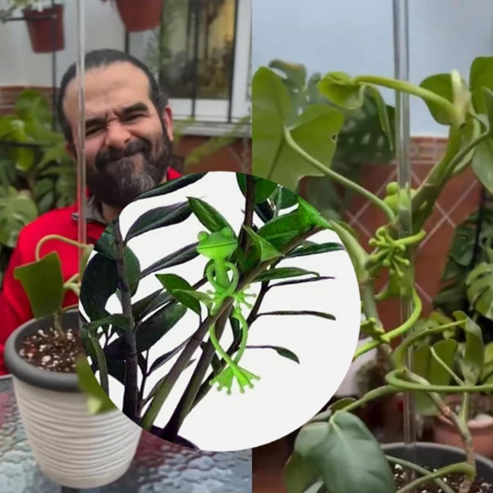 Eouayoree Attaches En Forme De Grenouille Pour Plantes 8pack