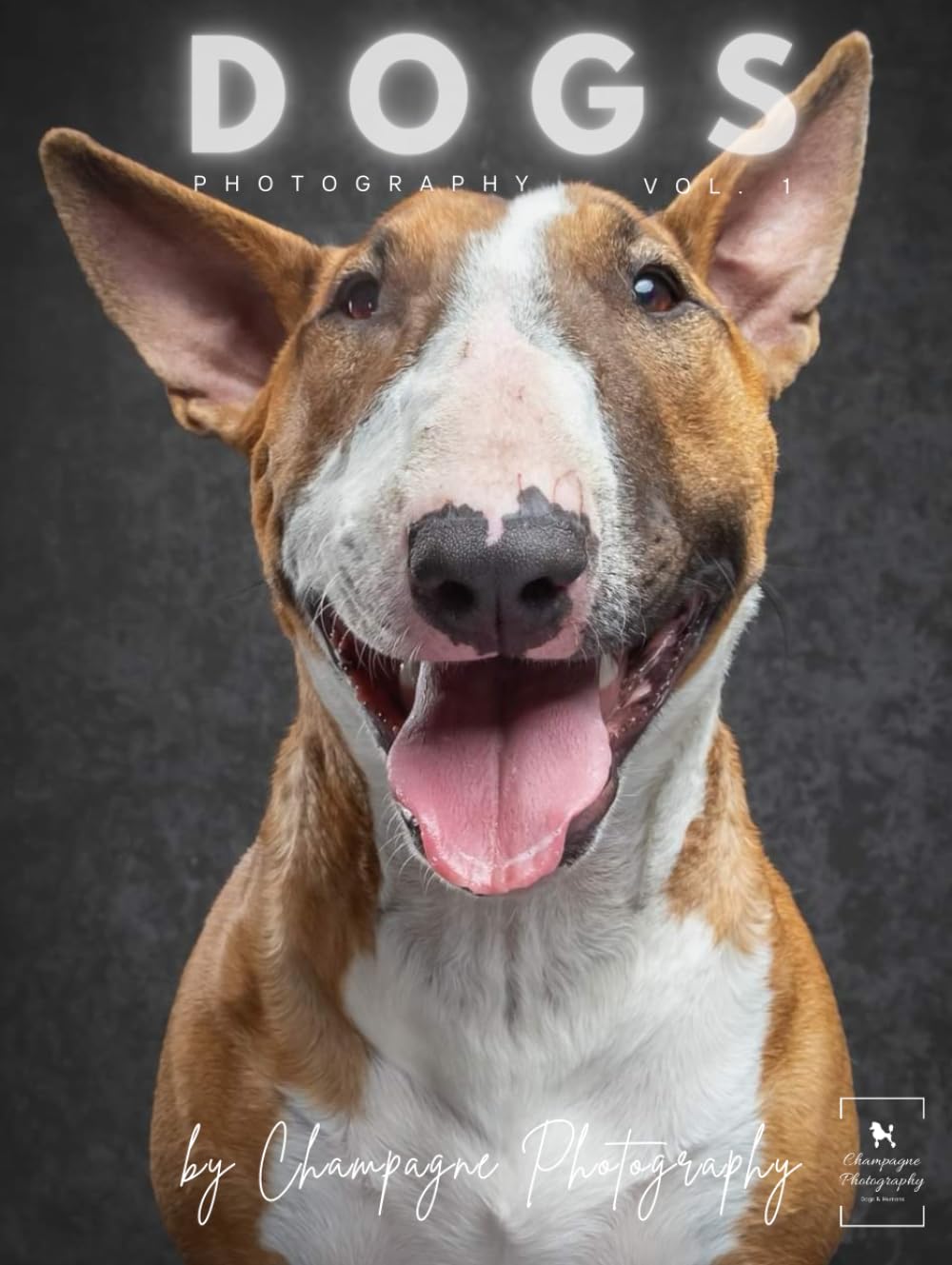 DOGS: Photos of Dogs