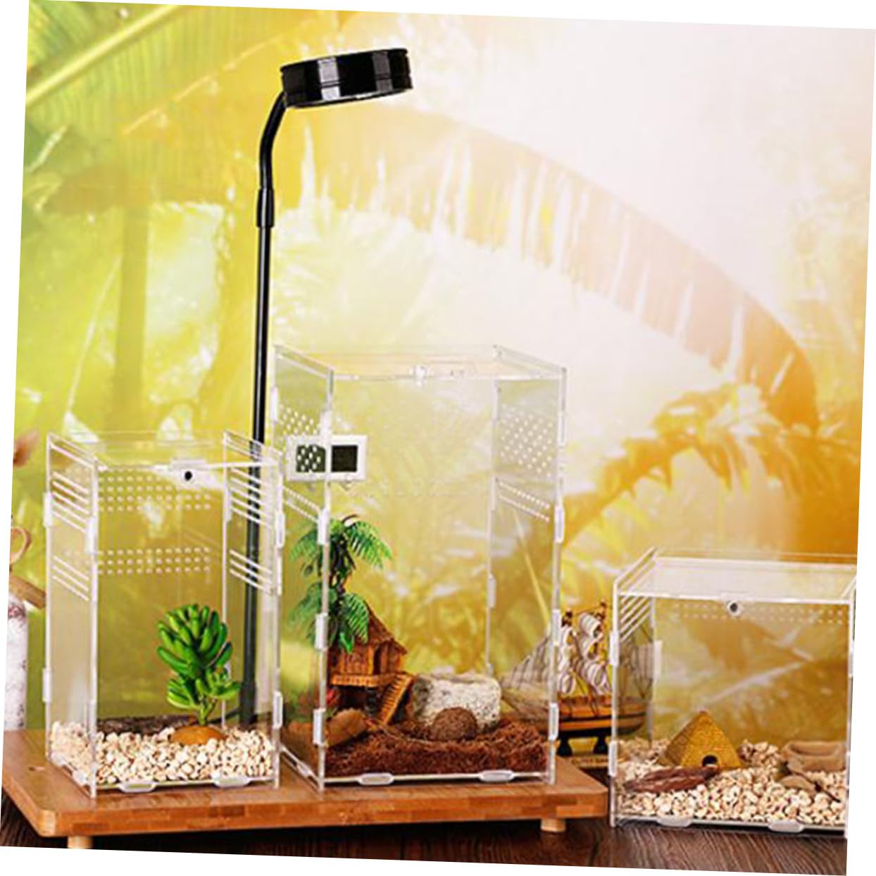 YARNOW Caja de Alimentación y Cría para Reptiles Acrílica Transparente con Ventilación Nido Seguro y Fácil Limpieza para Terrarios de Tortugas y