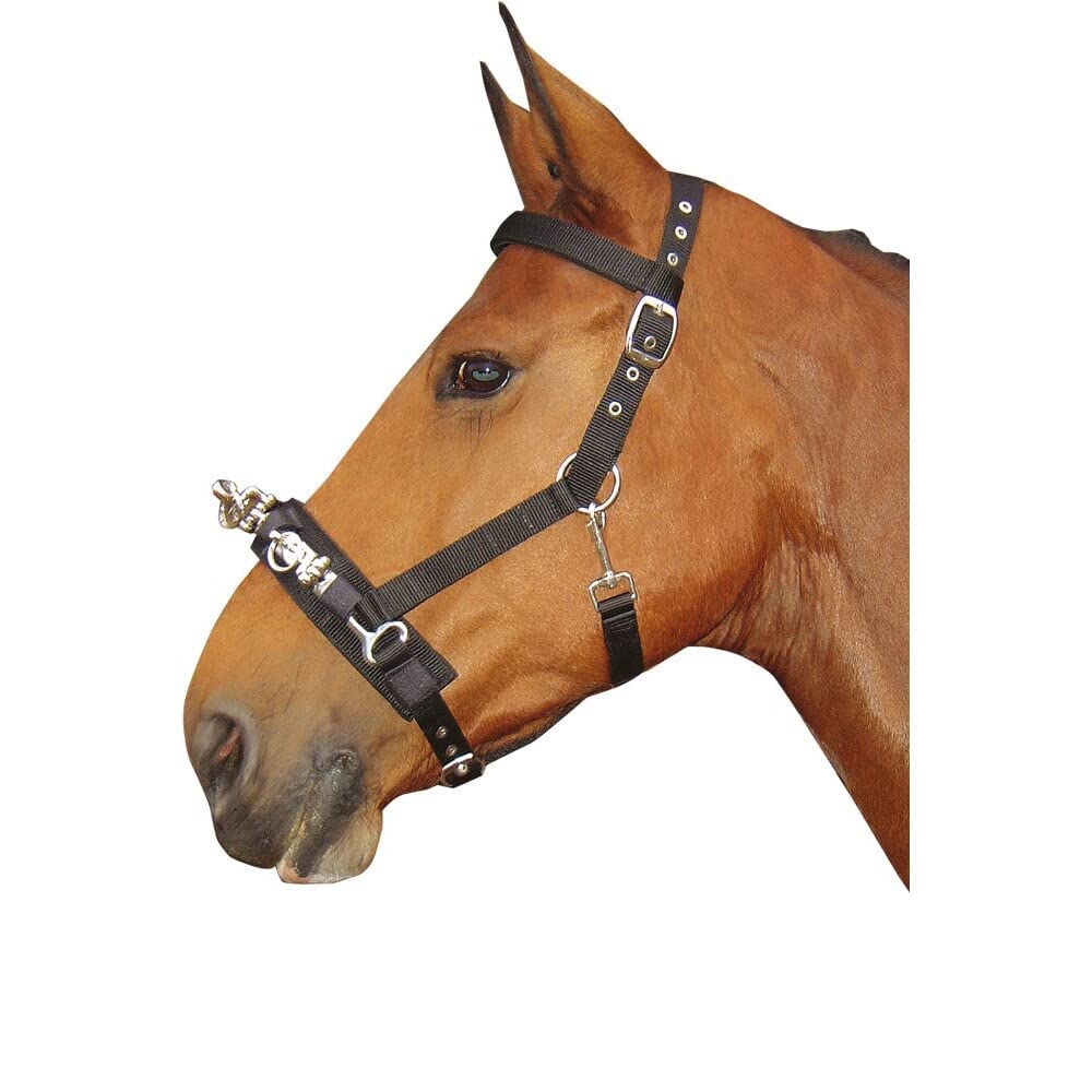 Harry' s Horse 31008125 di Pony Cavezza – Pony, S